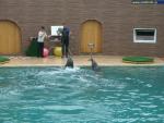 Сочинский дельфинарий, Утришский дельфинарий