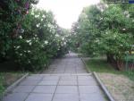 Национальный ботанический сад им. Н. Н. Гришко