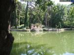 Ботанический сад биосферного заповедника Аскания-Нова
