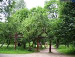 Измайловский парк, Измайловский лесопарк (Москва)