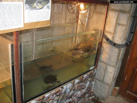 Карадагский морской аквариум
