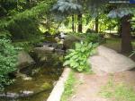 Японский сад (Москва)