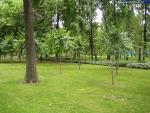 Усадьба Трубецких в Хамовниках (Парк Мандельштама, Москва)
