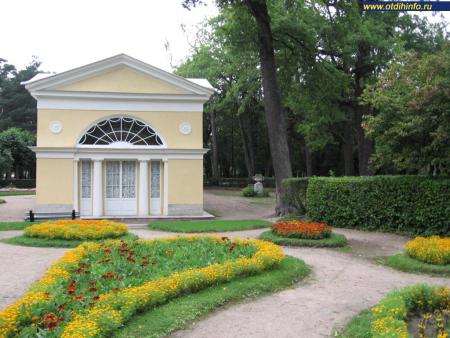 Фото: Павловский парк (Павловск, Санкт-Петербург)