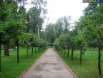 Увеселительный сад усадьбы-музея «Останкино»