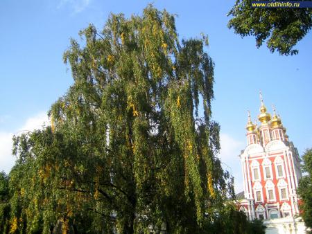 Фото: Новодевичий монастырь